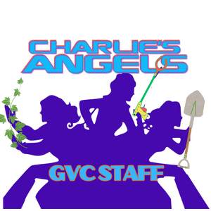 Team Page: Charlie's Angels (GVC Staff)